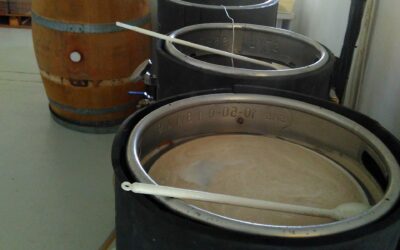 Owning Brewday Mishaps