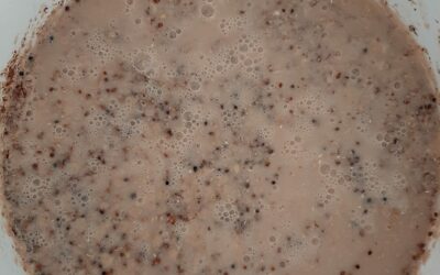 iBhiya: A new Xhosa-inspired craft beer from Makhanda